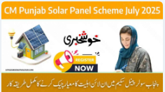 CM Punjab Free Solar Panel